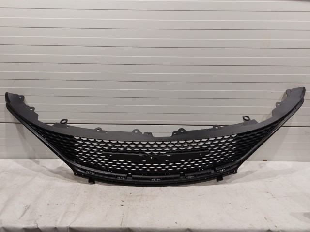 Radiator Grille